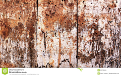 legno-marcio-20792469
