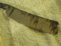 DSCN1318