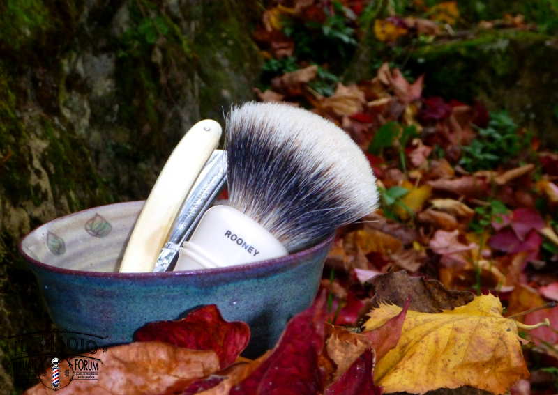 sotd 06.11.16