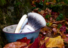 sotd 06.11.16
