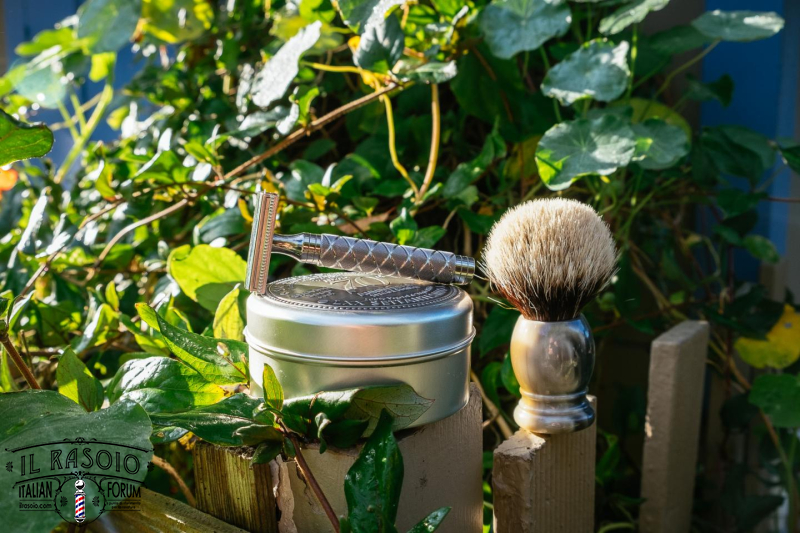 SOTD Nov 8 2016