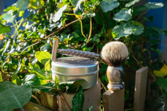SOTD Nov 8 2016