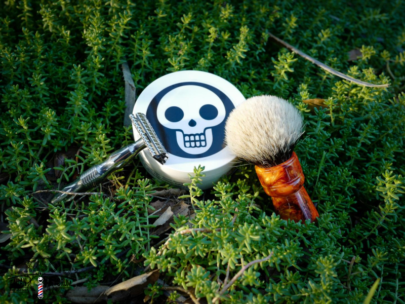 SOTD Nov 11 2016