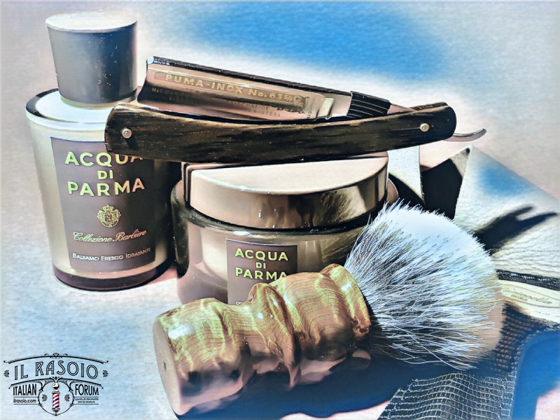 SOTD 20161118