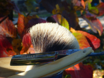 sotd 3.12.16