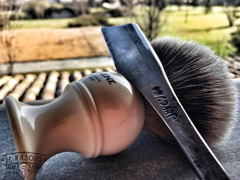 SOTD 9/12/2016