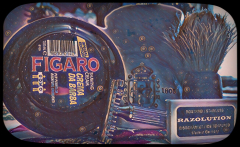 SOTD 231216