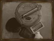 SOTD 281216