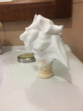 IMG 3538
