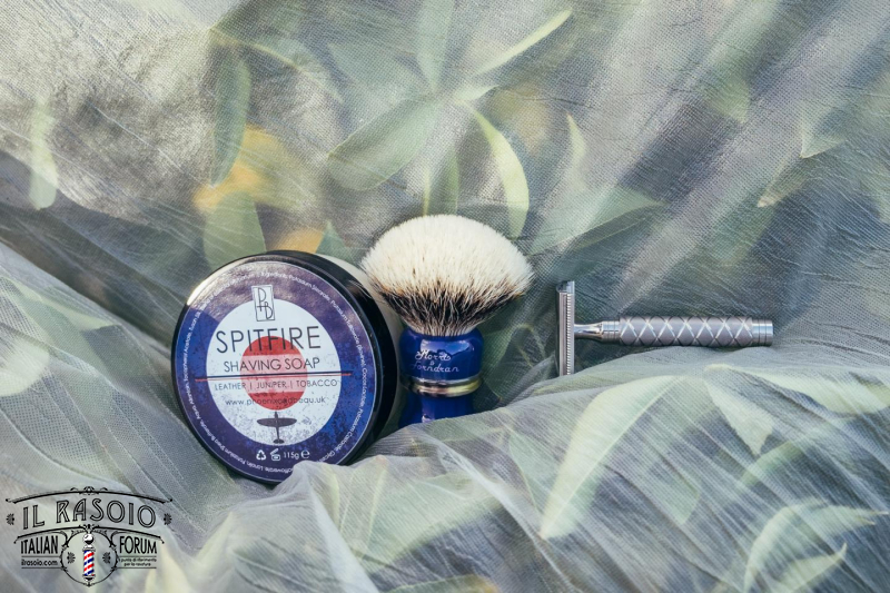SOTD Dec 31 2016