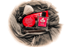 SOTD 11/01/2017