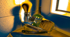 SOTD 13/01/2017