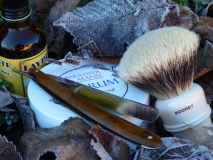 sotd 14.1.17