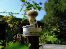 SOTD Jan 15 2016
