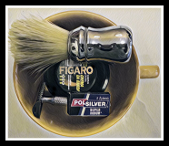 SOTD 190117