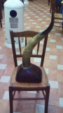 IMG-20170122-WA0006