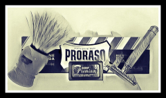 SOTD 90117