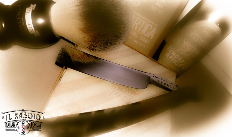 SOTD 11/02/2017