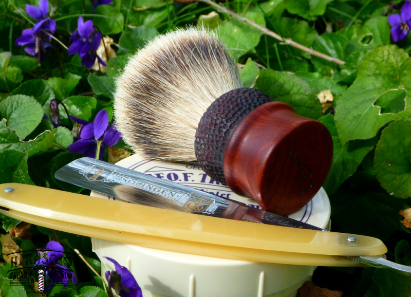 sotd 21 .2.17