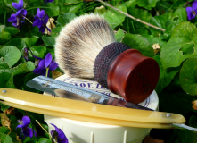 sotd 21 .2.17