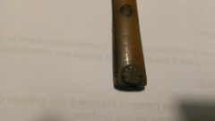 IMAG1733