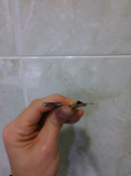 IMG 20170308 220937