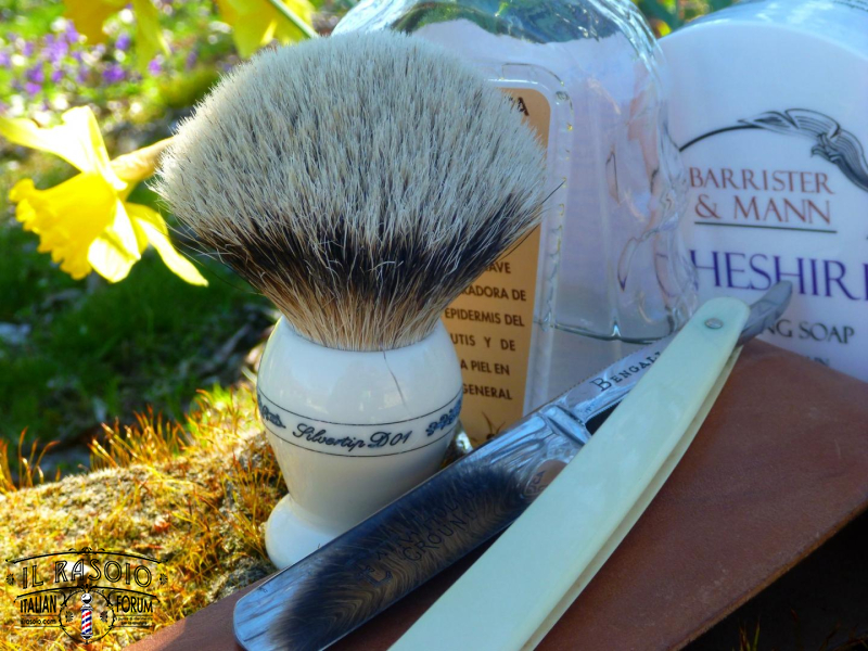 sotd 11.3.17