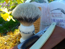 sotd 11.3.17