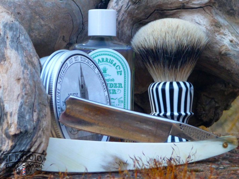 sotd 27.3.17 (2)