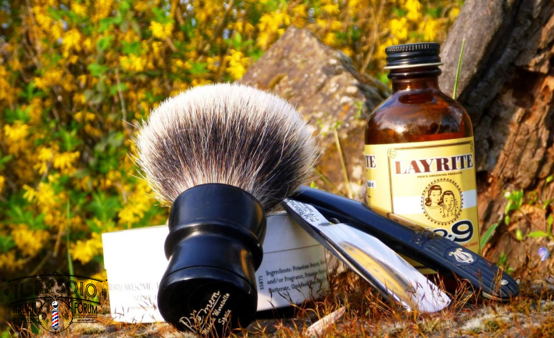 sotd 28.3.17