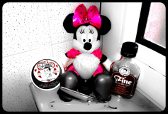 SOTD 02/04/2017