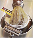 SOTD 040317