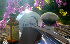 sotd 8.4.17