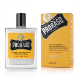 Proraso SE WS-Balm