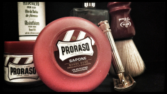 SOTD 13/04/17