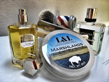 SOTD 19/4/2017