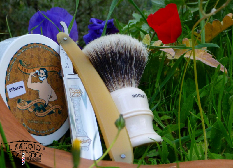 sotd 26.4.17