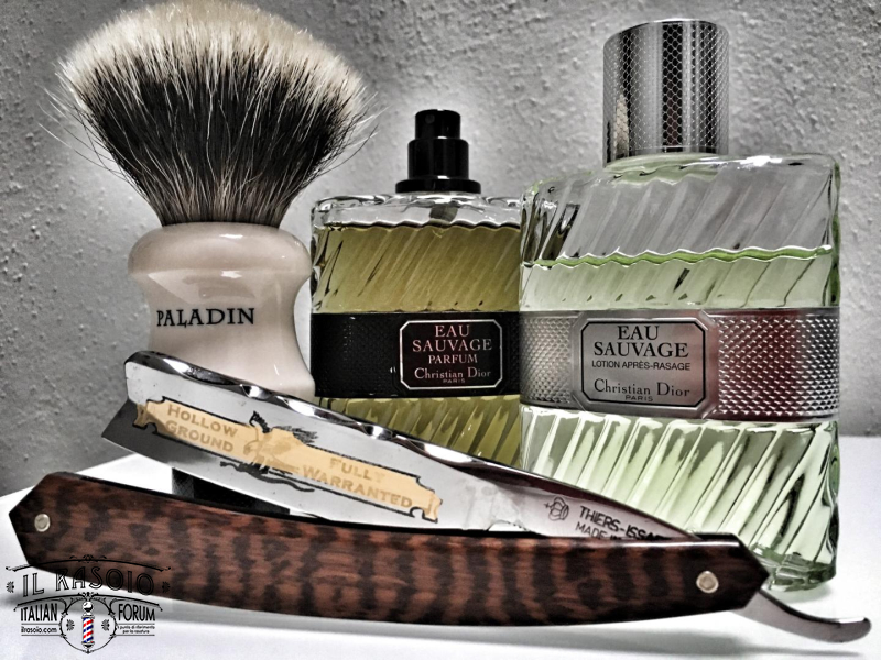 SOTD 11/5/2017