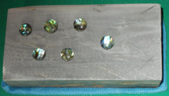 candia e dot abalone