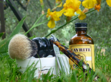 sotd 12.5.17
