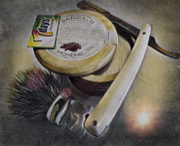 SOTD 140517