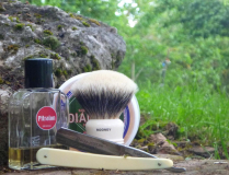 SOTD 15.5.17