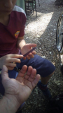 IMG-20170527-WA0085