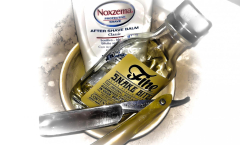 SOTD 02/06/2017