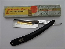 Filarmonica Novodur 14