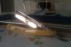 robyares pax 1