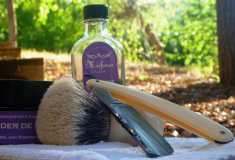 sotd 6,7,17