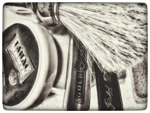 SOTD 06/07/2017