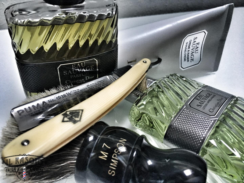 SOTD 3/8/17