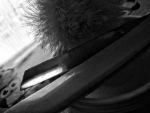 SOTD 06/08/2017